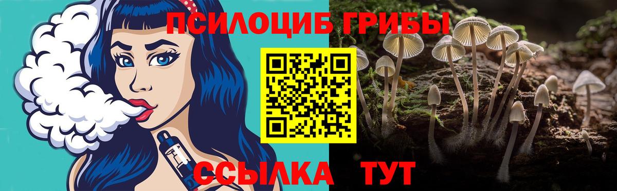 как найти закладки  Вход с VPN  Сокол  Галлюциногенные грибы Psilocybine cubensis 