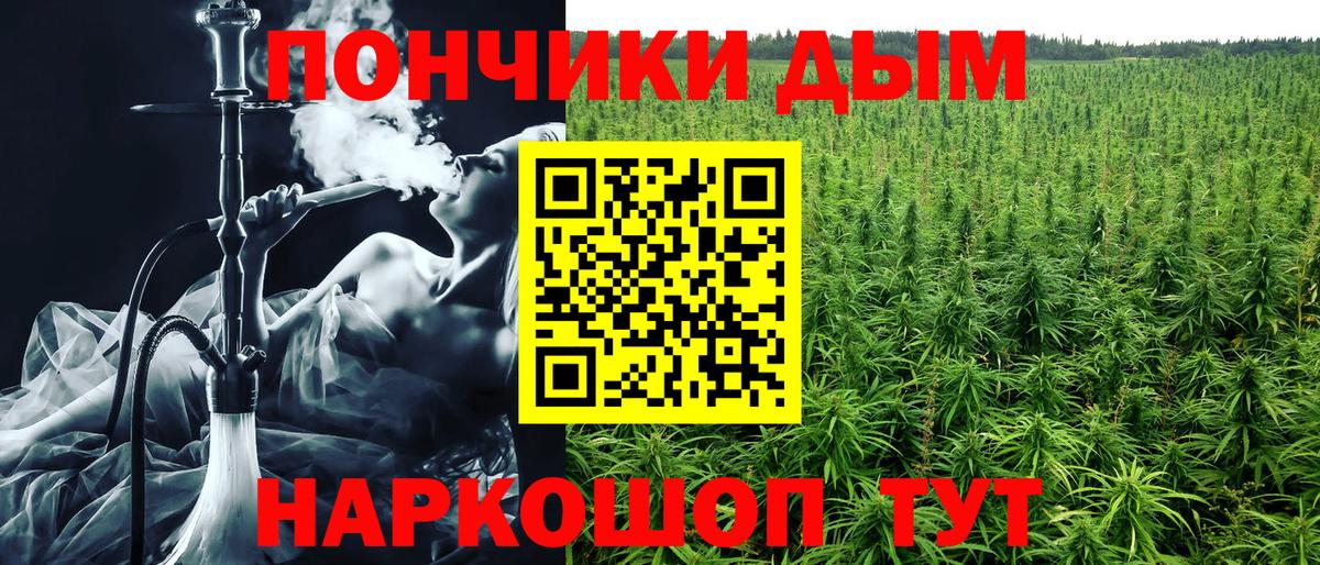 Конопля семена  Канабис MAZAR  Вход с VPN  Бошки марихуана сатива  Сокол  Бошки марихуана THC 21% 